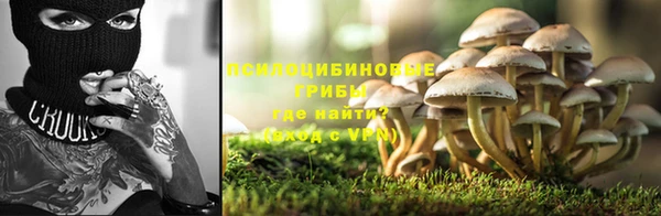ПСИЛОЦИБИНОВЫЕ ГРИБЫ Алексеевка
