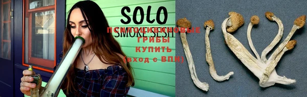 хмурый Абинск